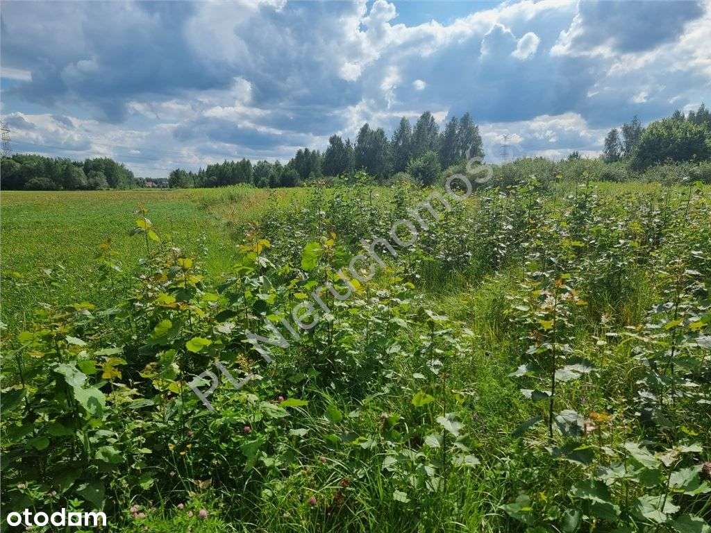 Pomysł Na Lokatę Kapitału - Działka Objęta Planem-5