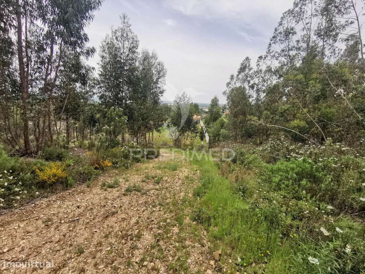 Terreno Misto - Grande imagem: 5/37