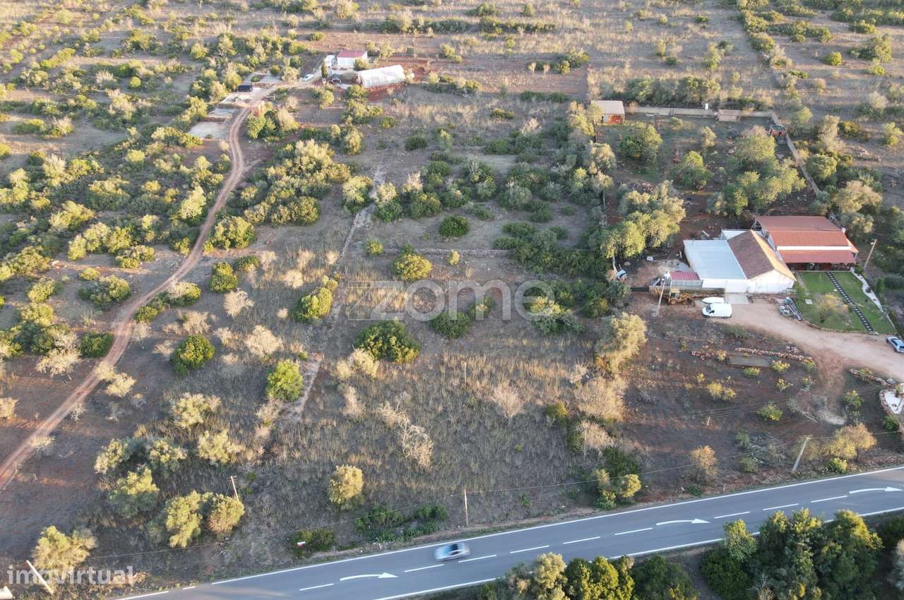 Terreno Rústico com 9.010m2 em Cumeada, Messines - Grande imagem: 2/16