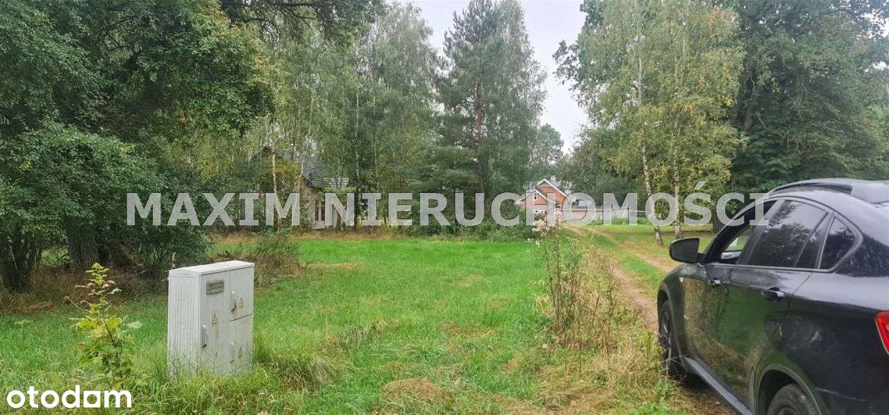 Działka z Warunkami Zabudowy w miejsc. Sadek - Pełny obrazek: 4/4