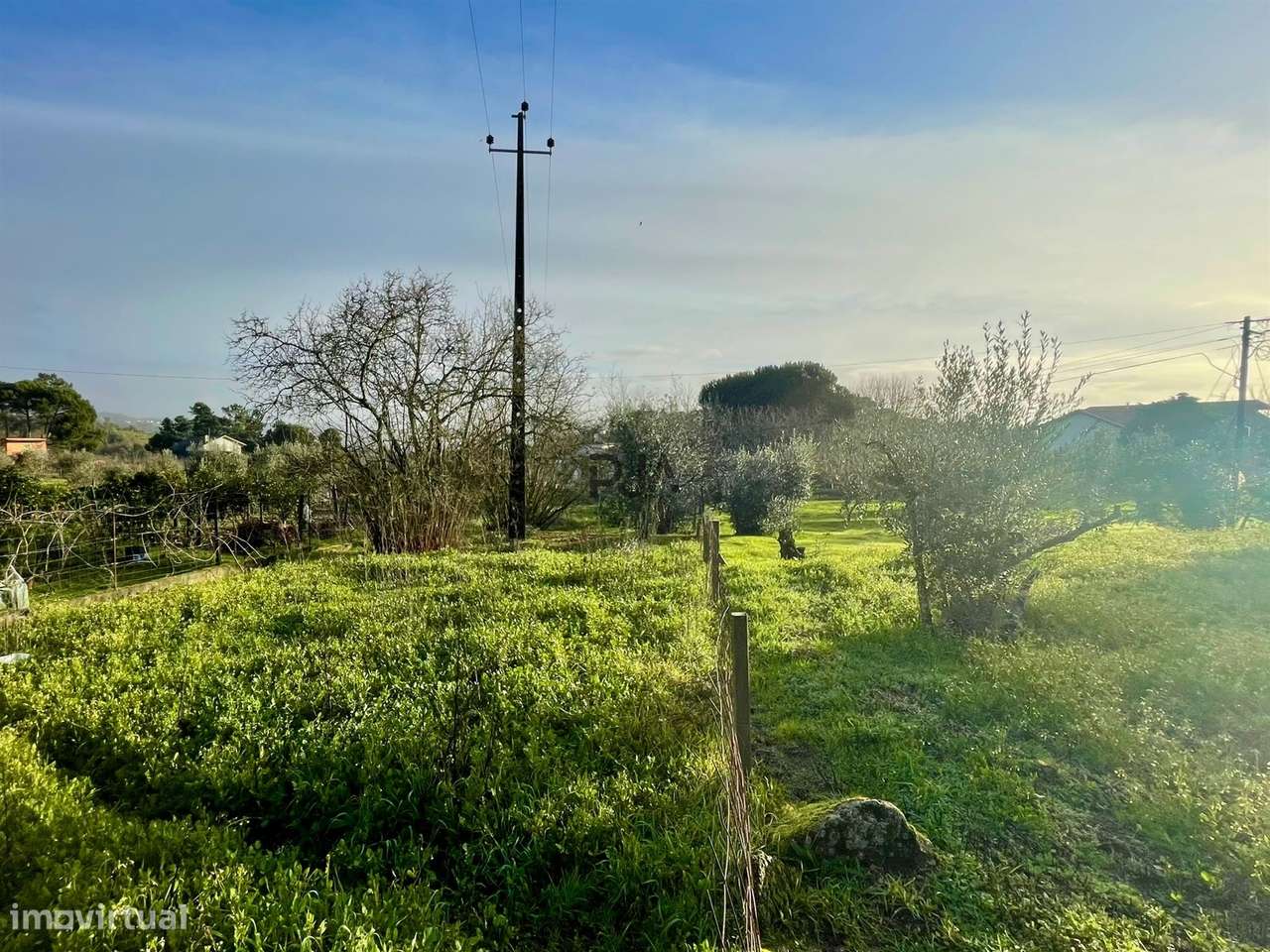 Terreno Misto em Teomil, Tondela - Grande imagem: 2/8