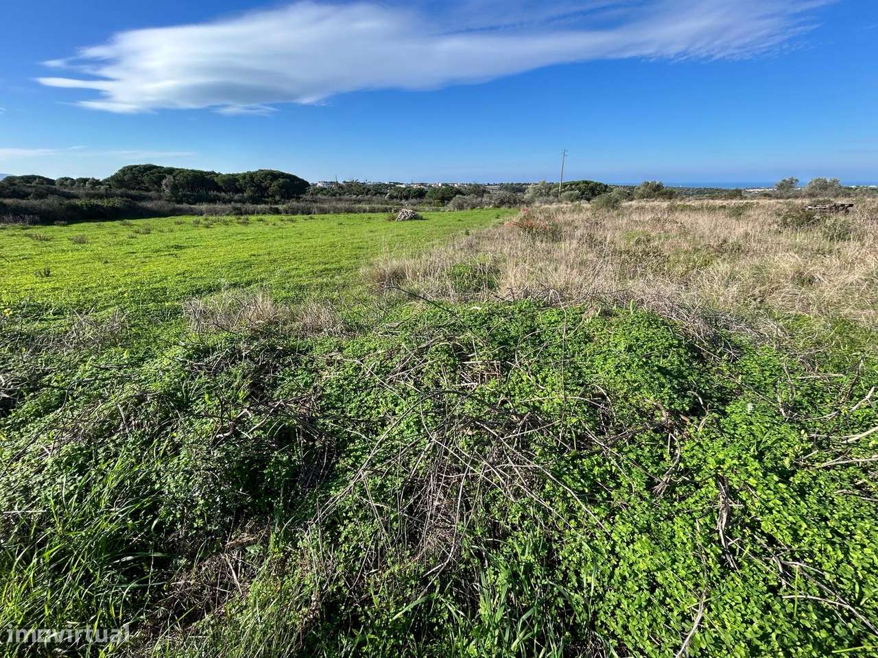 Terreno Rústico  Arrendamento em São João das Lampas e Terrugem,Sintra - Grande imagem: 3/9