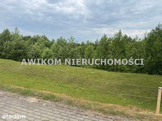 Działka, 54 373 m², Przerośl - Pełny obrazek: 5/10