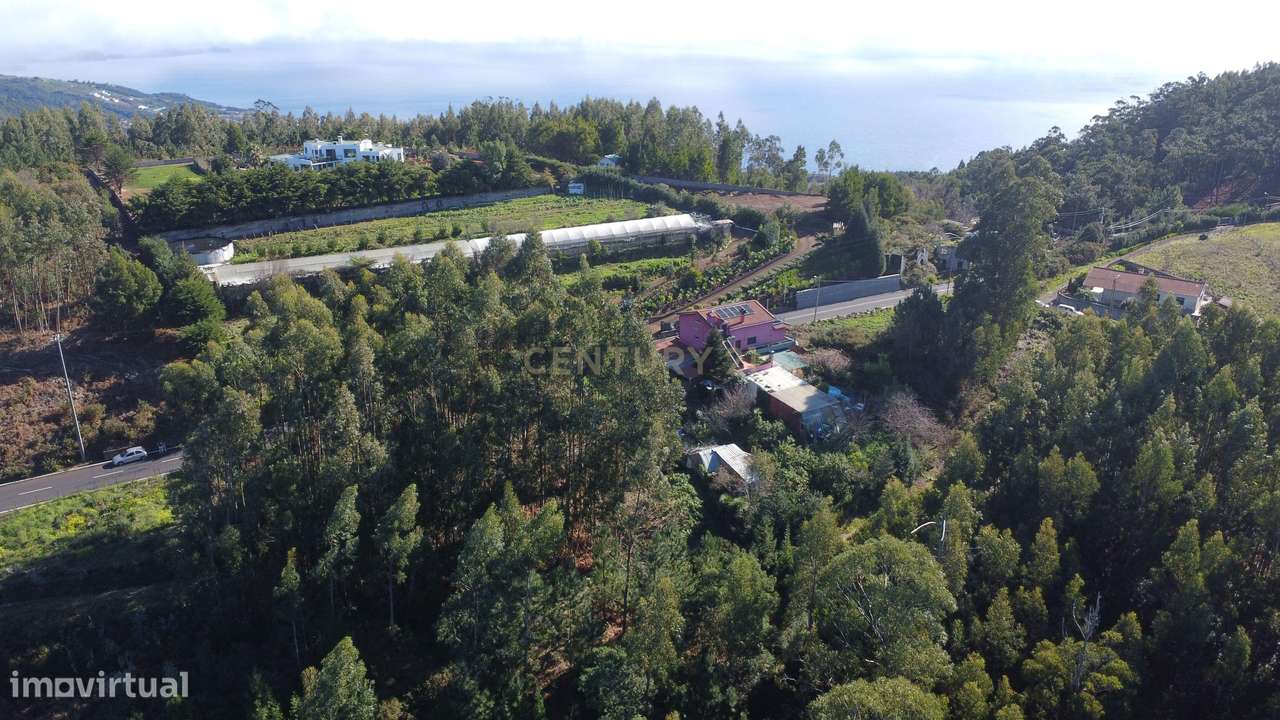 Terreno Rústico com Viabilidade de Construção - Camacha - Grande imagem: 3/5