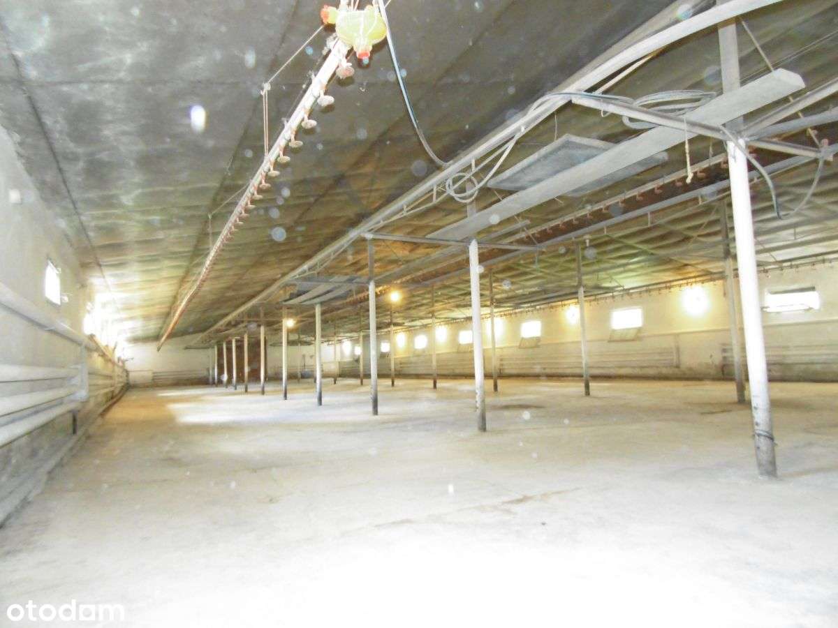 Hala magazynowa w Chwaszczynie - Pełny obrazek: 4/6