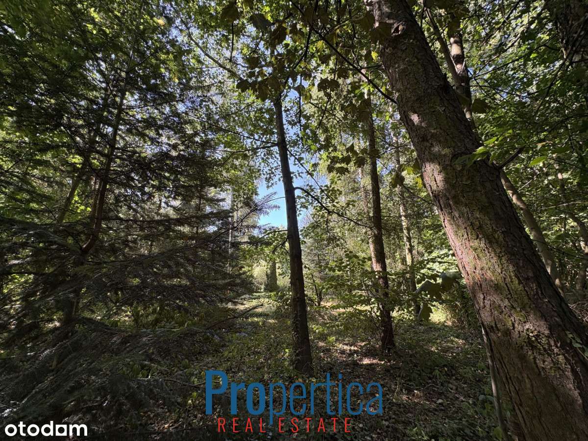 Piękny Ogród - działka w Konstancinie plus dom-11