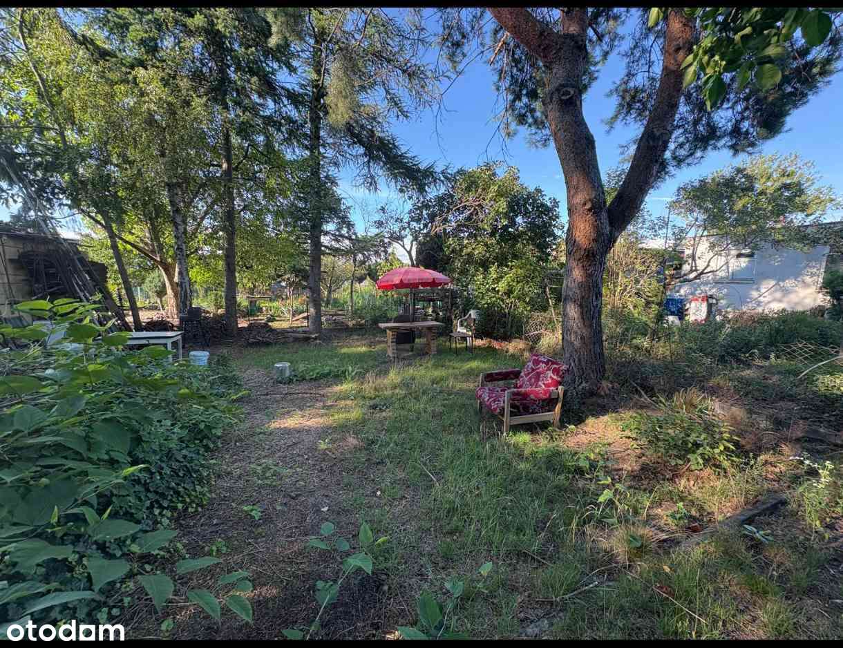 Działka ROD Kolejarz w Bydgoszczy!-6