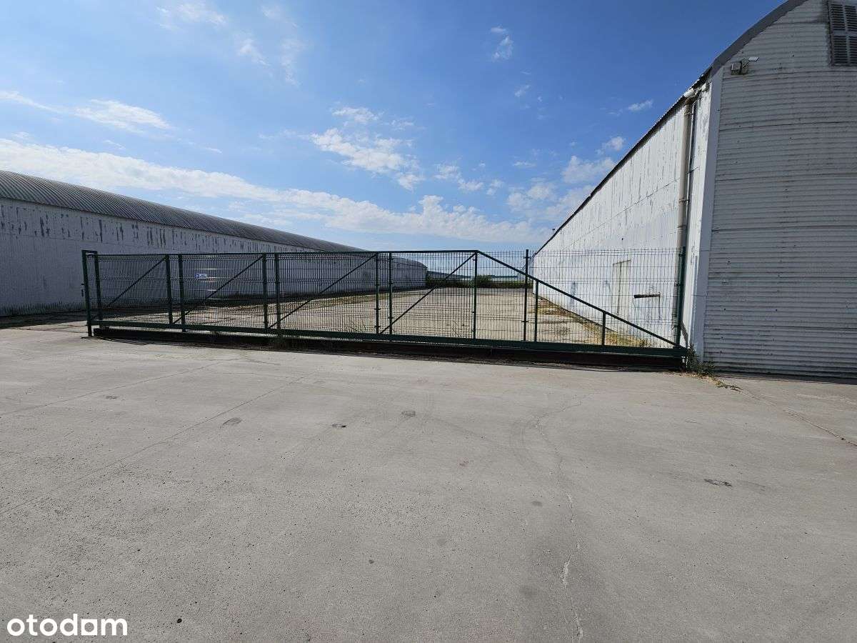 samodzielna hala, szybki dojazd z S11 - Pełny obrazek: 5/11