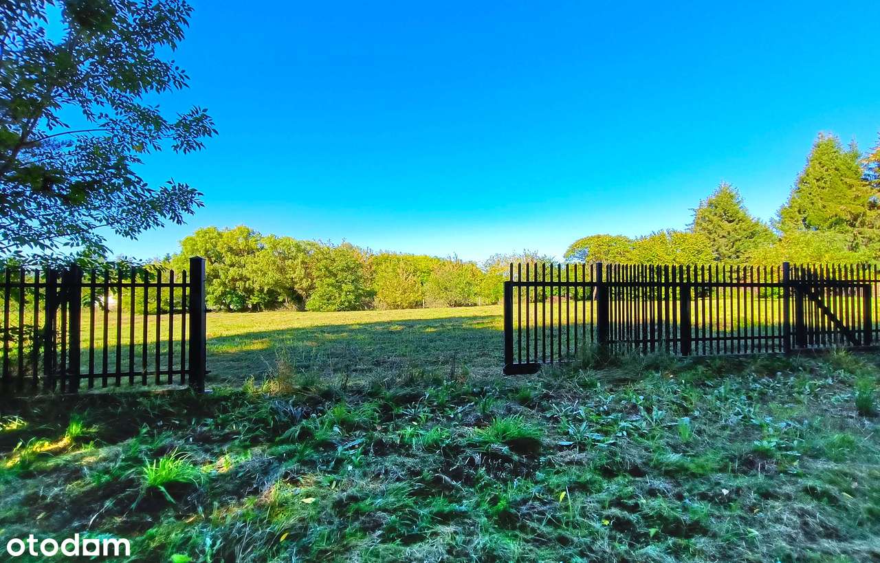 Działki Zamość Krucza Leśna - Pełny obrazek: 4/17