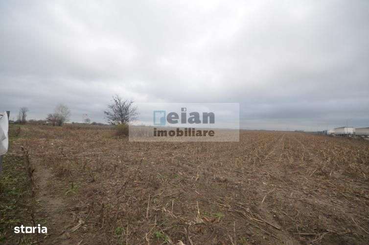 Bolintin Deal - Baumit, Teren 10,000 Mp Deschidere Dj 36 Ml-3