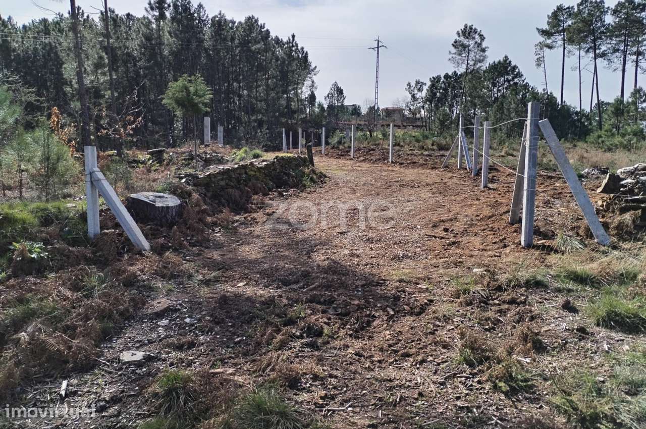 Terreno agricola e florestal.-23