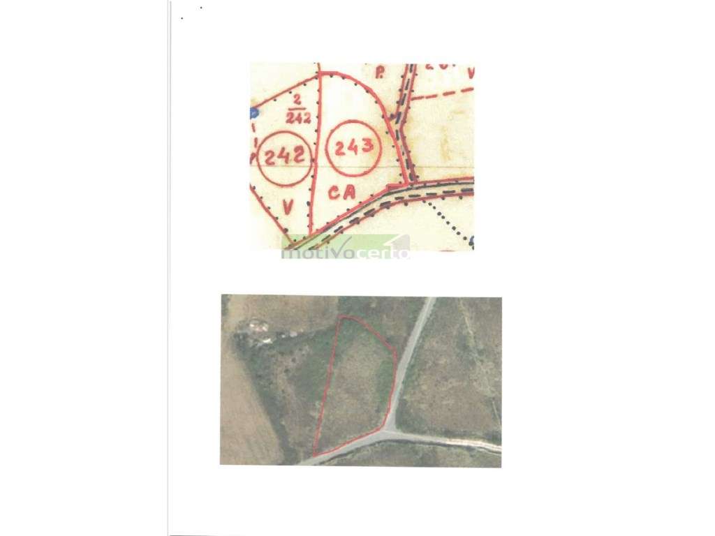 Terreno Rústico em Cabrela, Sintra - Ideal para Projeto Agrícola ou... - Grande imagem: 3/3