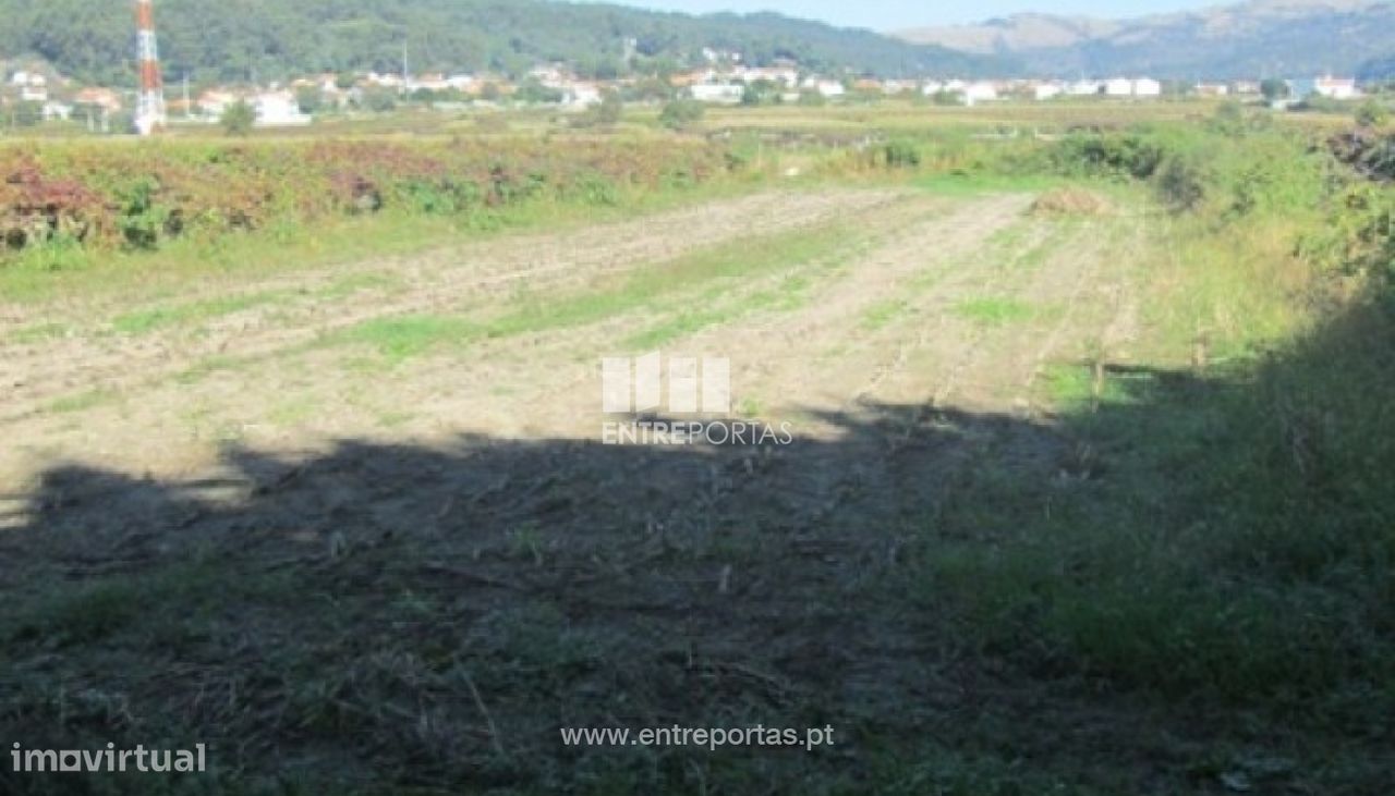 Venda de Terreno agrícola, Perre, Viana do Castelo