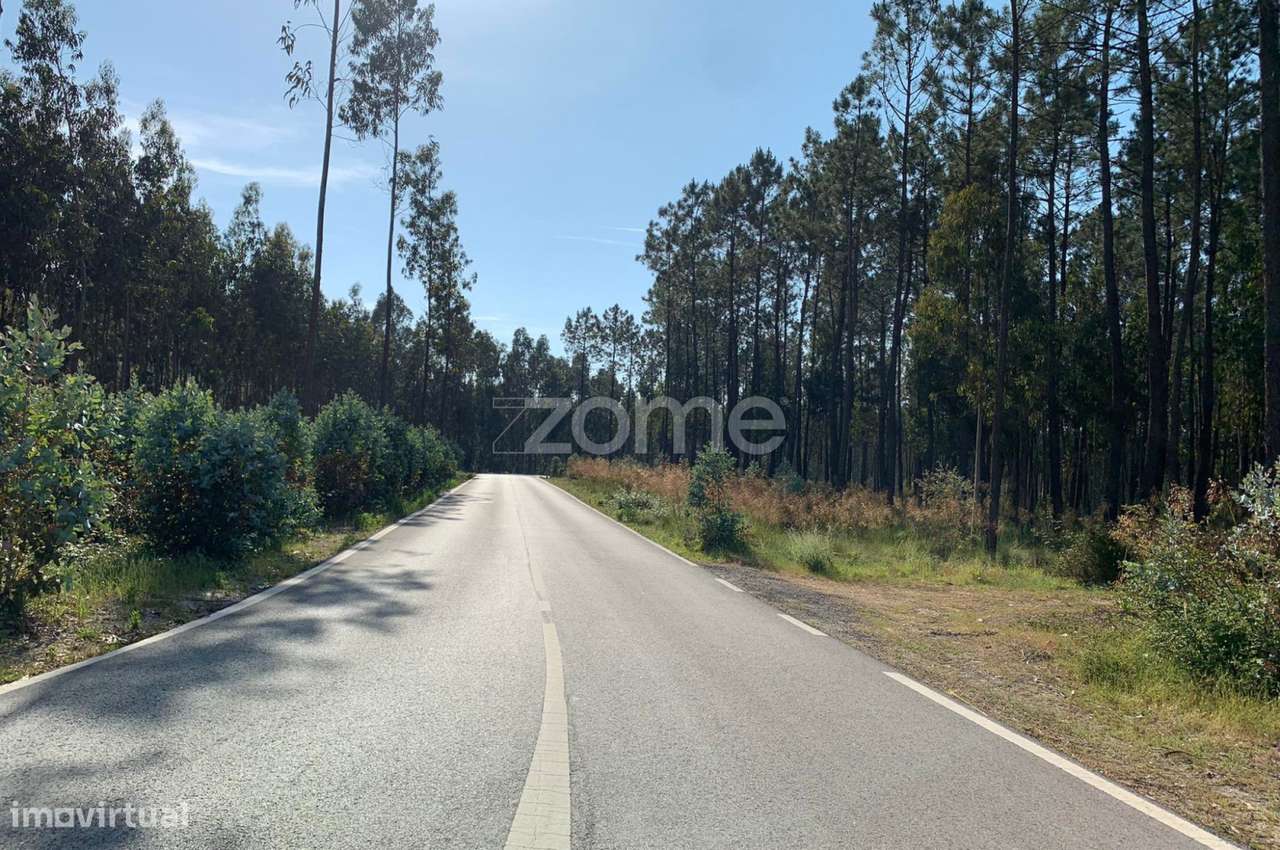 Terreno Rustico - Grande imagem: 2/15