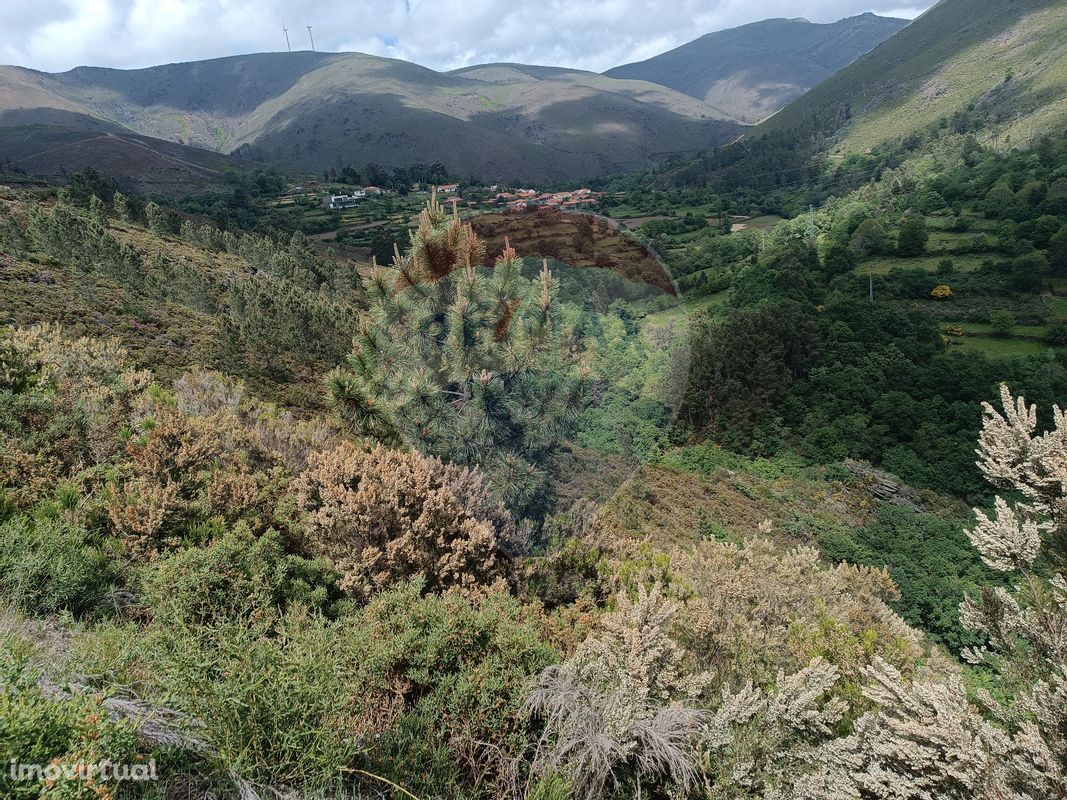 Terreno  para venda