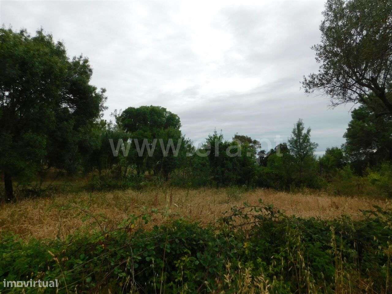 Terreno / Fundão, Soalheira - Grande imagem: 3/5