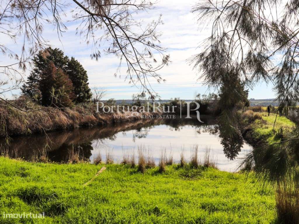 Quinta com casa de habitação T5 e diversas construções-31