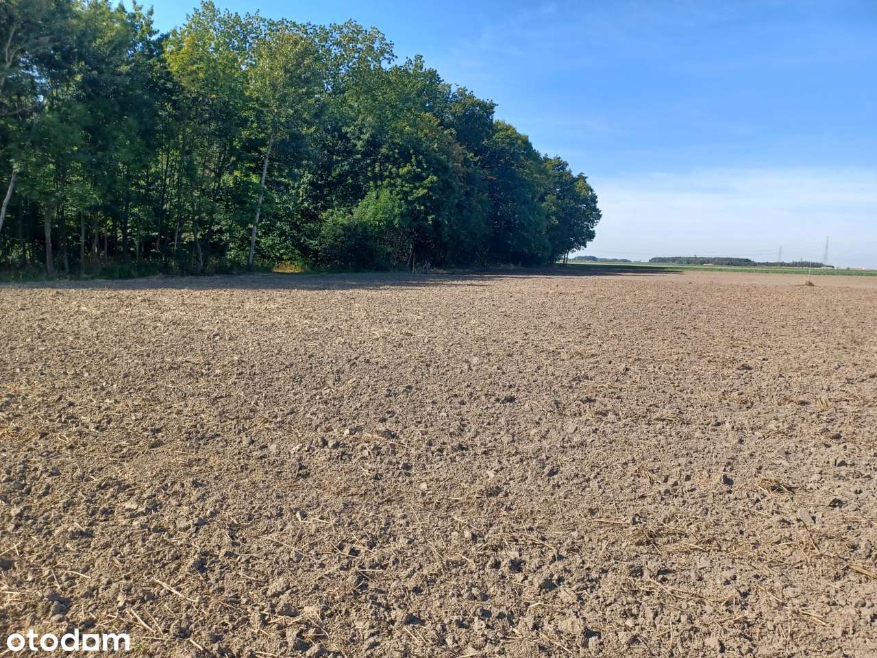 działka budowlana  z mediami pod lasem-8