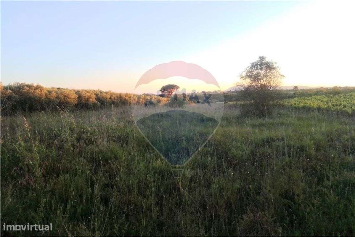 Terreno  para venda - Grande imagem: 4/8