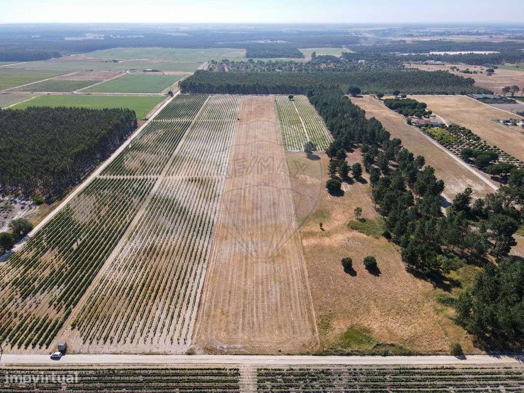 Terreno  para venda - Grande imagem: 5/19