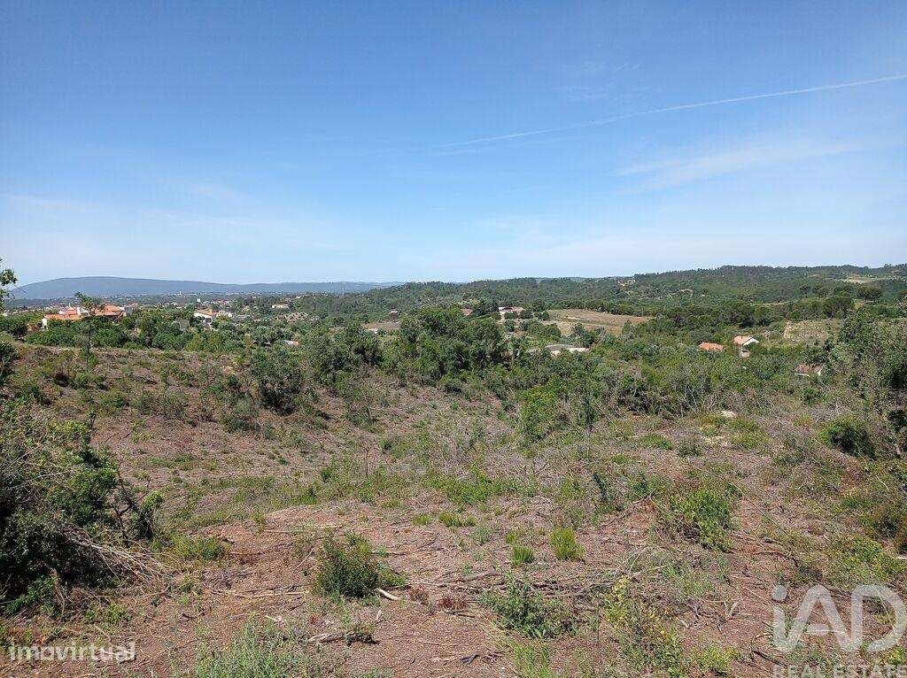 Terreno Agrícola em Madalena e Beselga - Grande imagem: 5/27