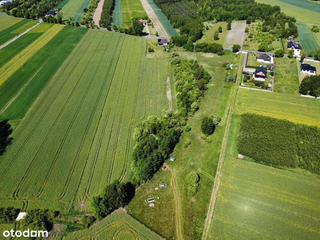 Działka budow. 1,5ha w Radomsku, ul. Sikorskiego ! - Pełny obrazek: 4/4