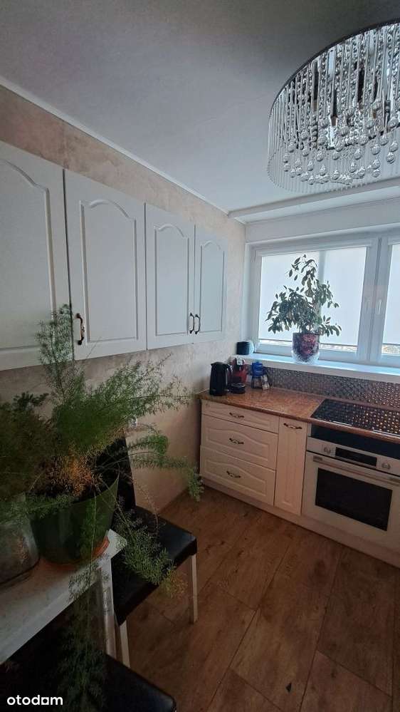 Do sprzedaży 3 pokojowe w ok. Rynku z dwoma balkon-12
