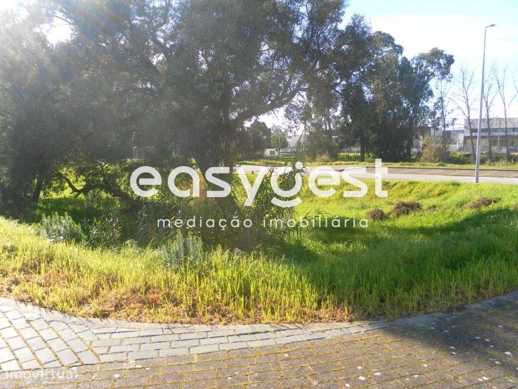 Lote de Terreno Urbano 253m2 para Moradia - Entroncamento - Grande imagem: 5/9