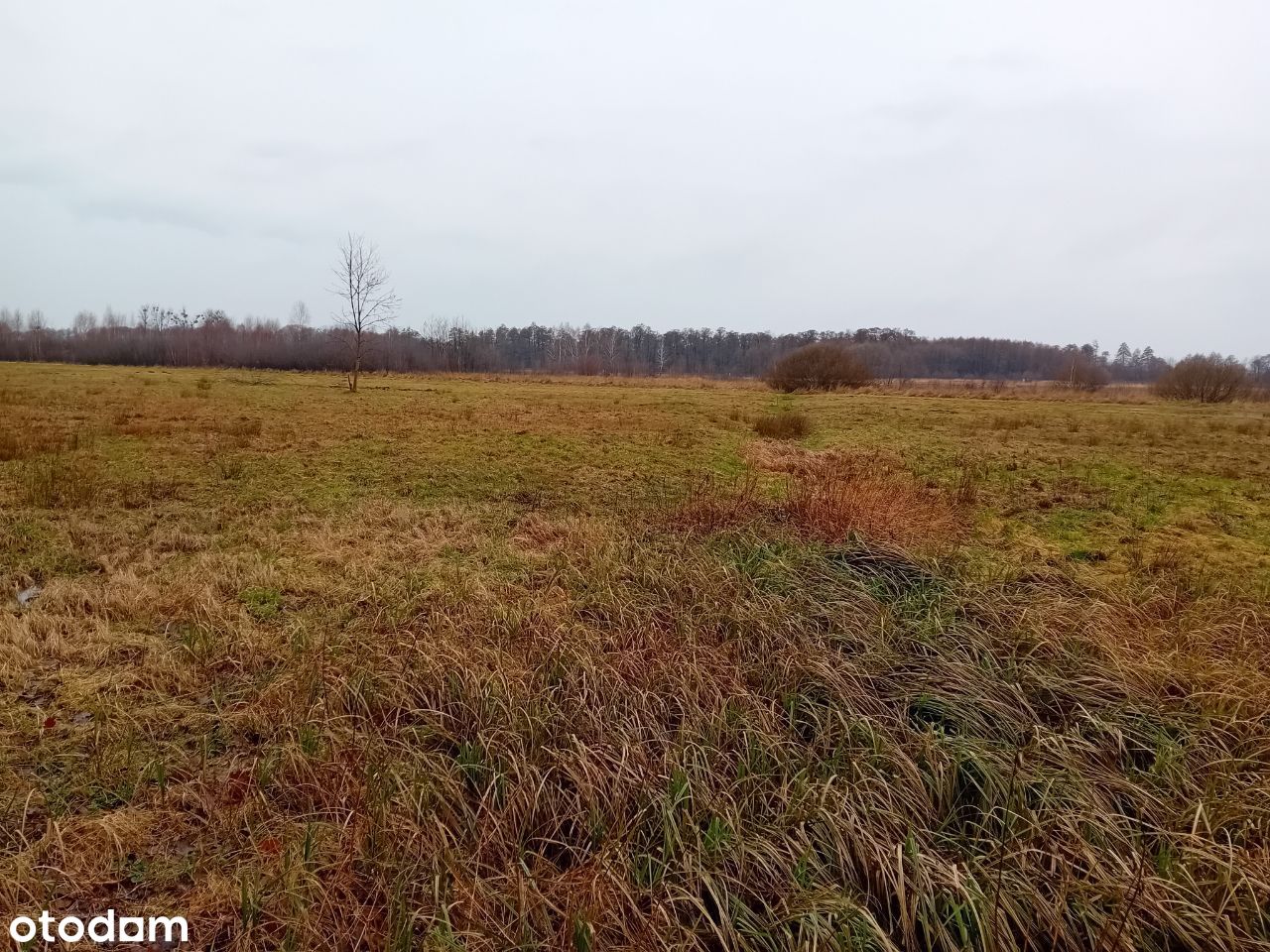 Piękna działka budowlana