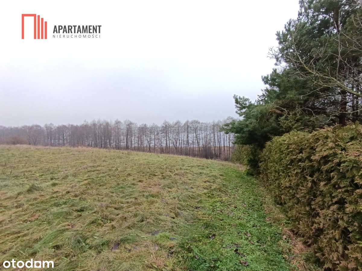 Działka rekreacyjna nad jeziorem - Pełny obrazek: 5/10