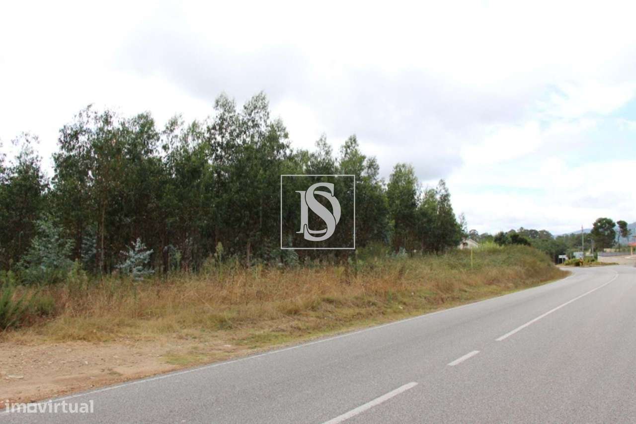 Terreno com 16.145m2 em Campo de Besteiros - Grande imagem: 3/5