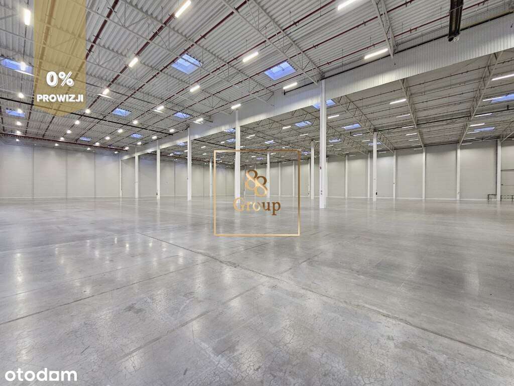 10.000 m2 magazyn od zaraz