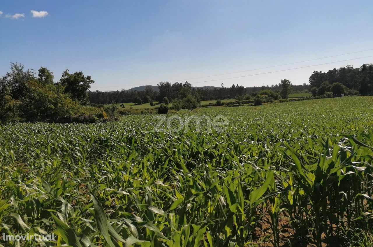 Terreno rustico agrícola com 4.000 M2 em Fradelos-Famalicão