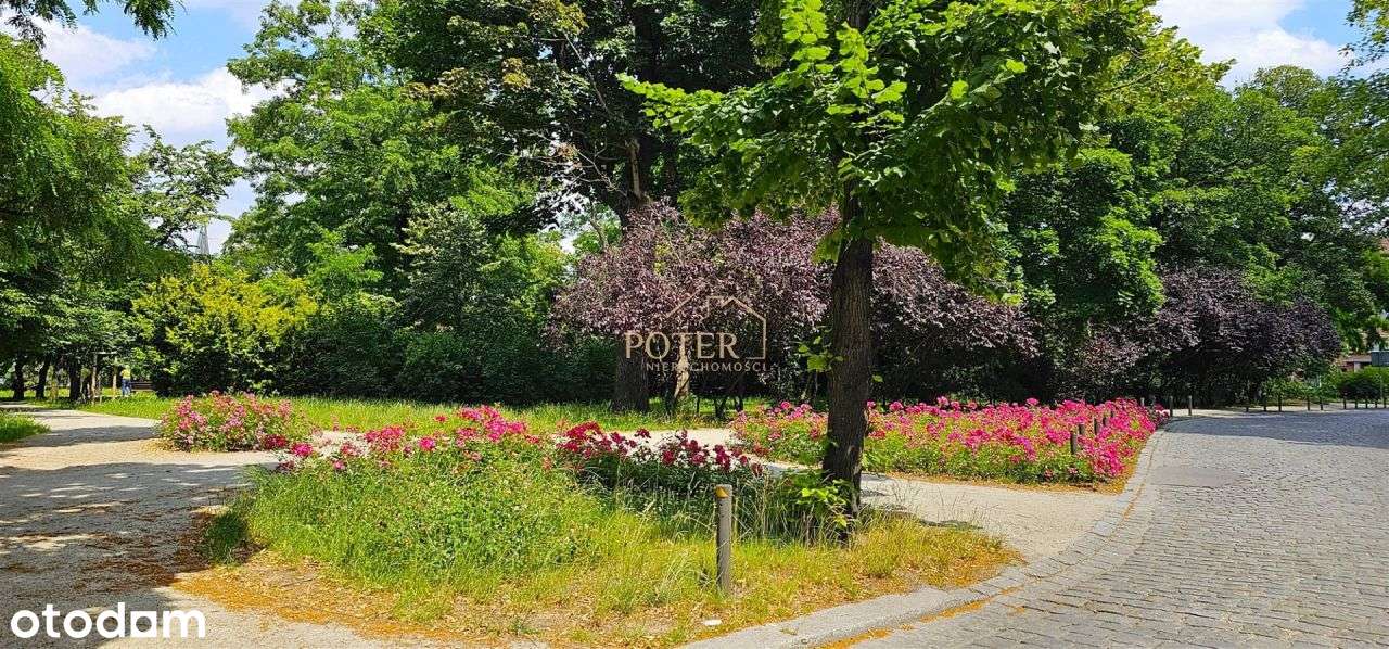 Oddzielna kuchnia | 3 pok.| Media miejskie !-19