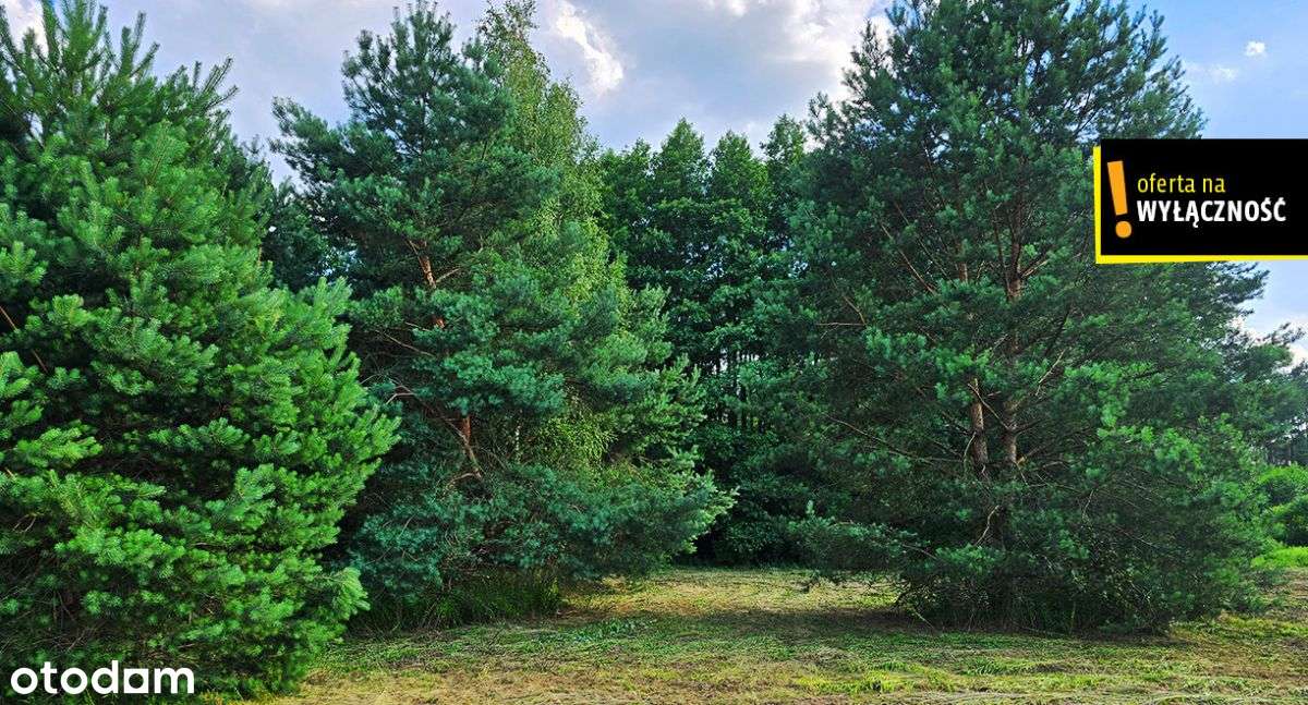 Działka pod budowę blisko Rytwian - Pełny obrazek: 5/7