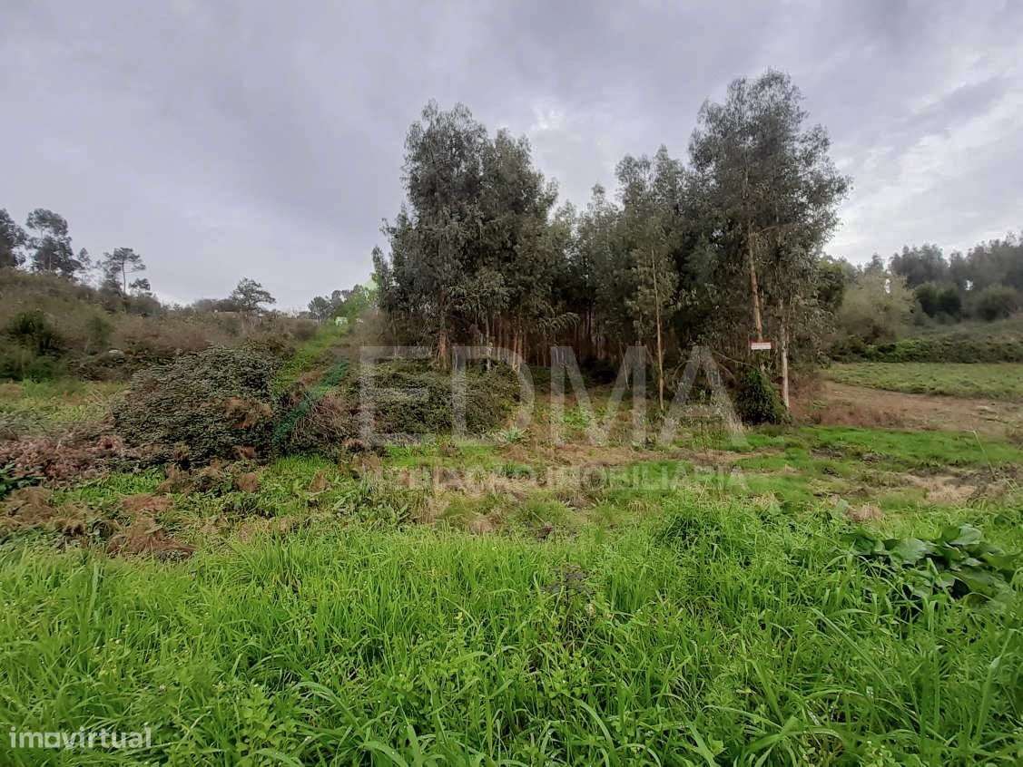 Terreno - Grande imagem: 4/8