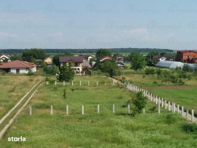 Proprietar, teren langa padure, Sangov - Ciofliceni