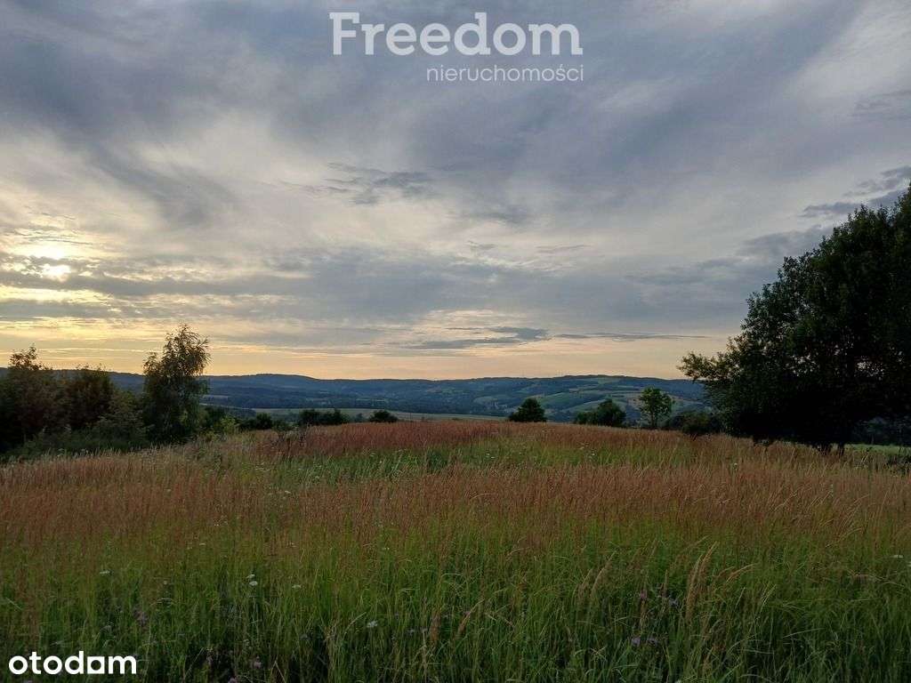 1,38 ha pod siedlisko, pasiekę lub fotowoltaikę - Pełny obrazek: 2/18