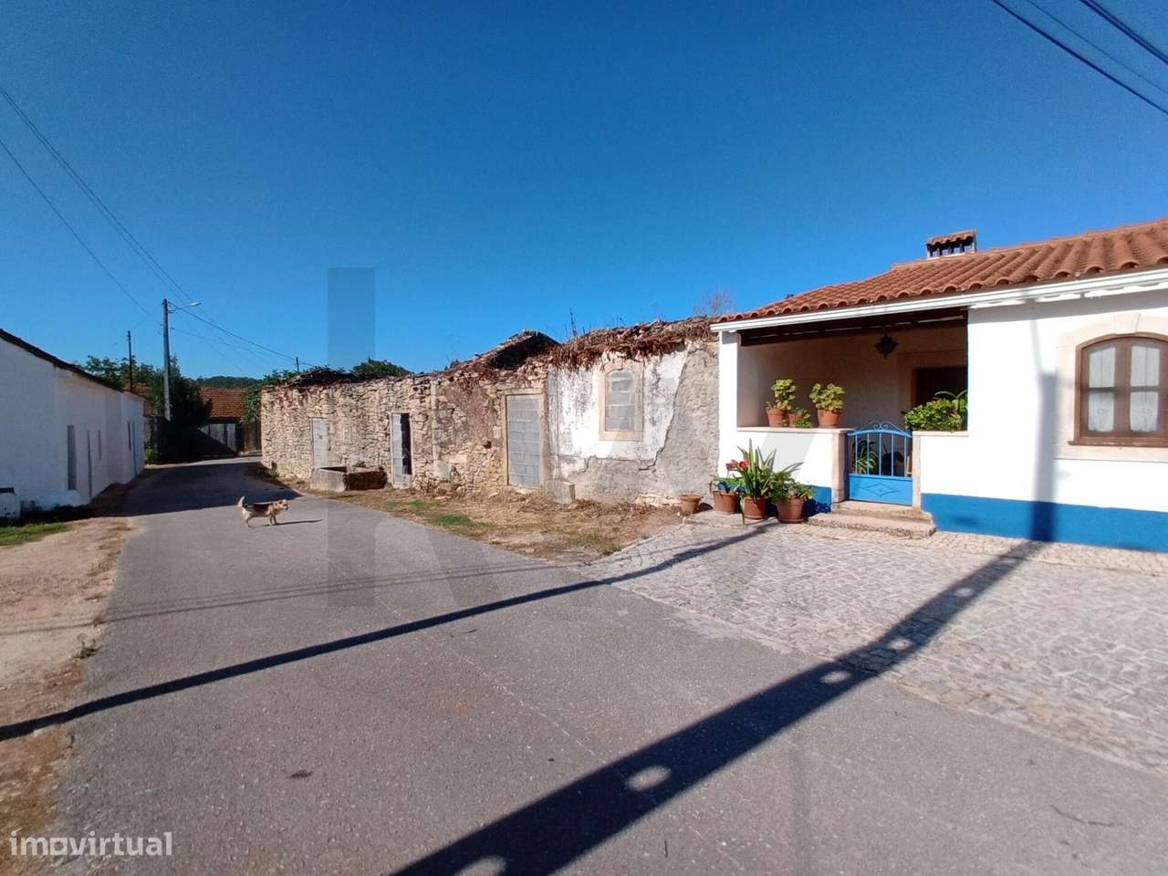Moradia em ruina com terreno em Maxieira-15