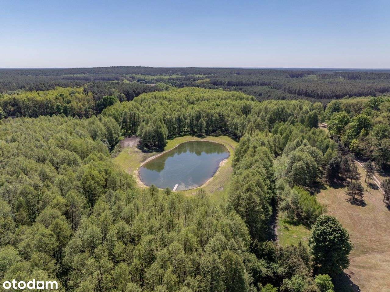 Siedlisko z lasem i stawem - Wielkopolska - Pełny obrazek: 5/8