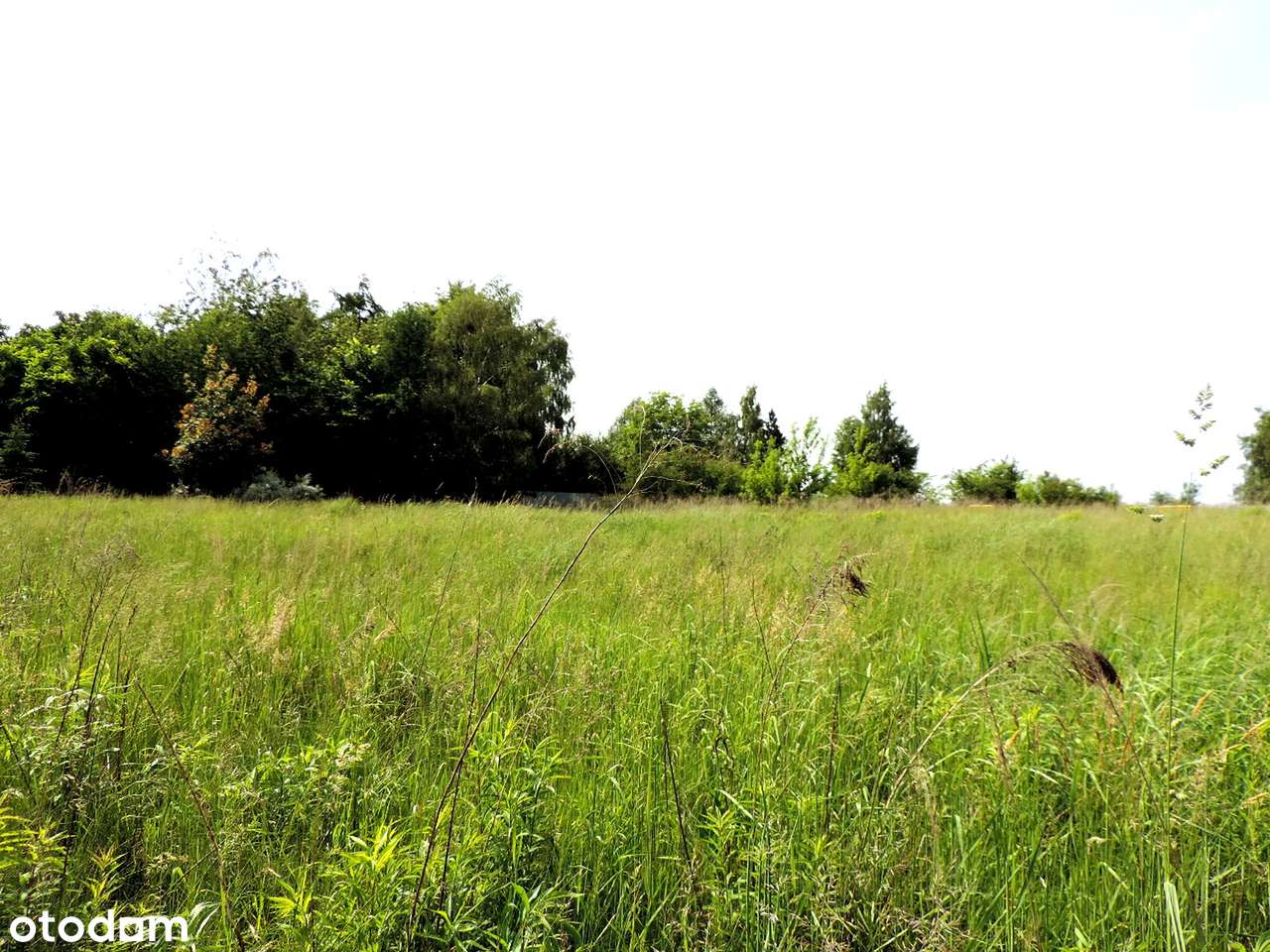 Twoje miejsce na wymarzony dom – Jakubowice Konińskie Kolonia 1956 m²-1
