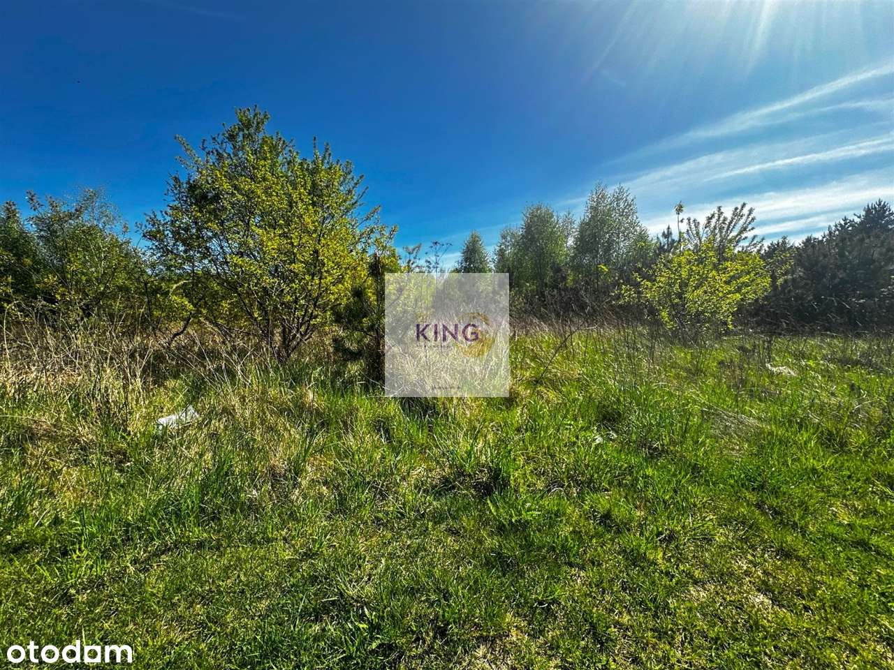 Działka o powierzchni 3000 m² - Pełny obrazek: 4/5