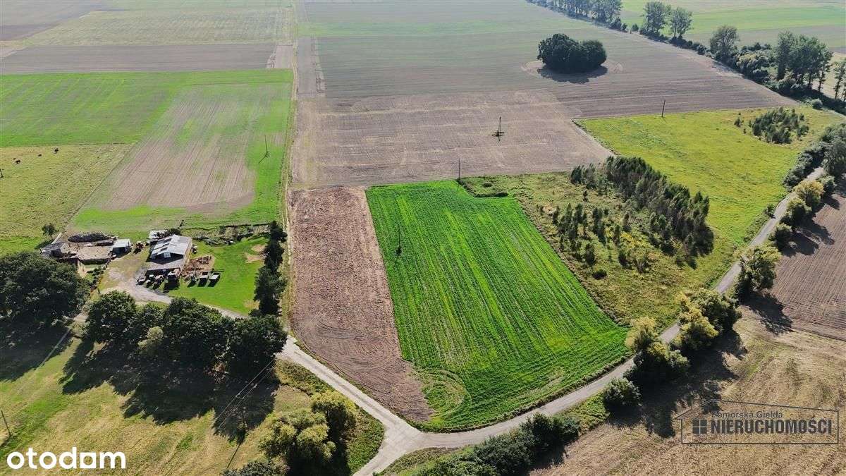 Bielikowo - działka budowlana około 20 minut od Ba-12