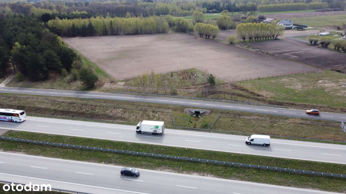 Działka inwestycyjna Trasa S8 – gm. Żabia Wola (cena BRUTTO) - Pełny obrazek: 2/15