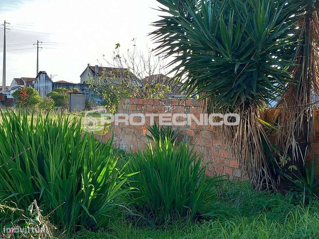 Terreno c/ 470m2 - Gafanha da Nazaré - Grande imagem: 4/10