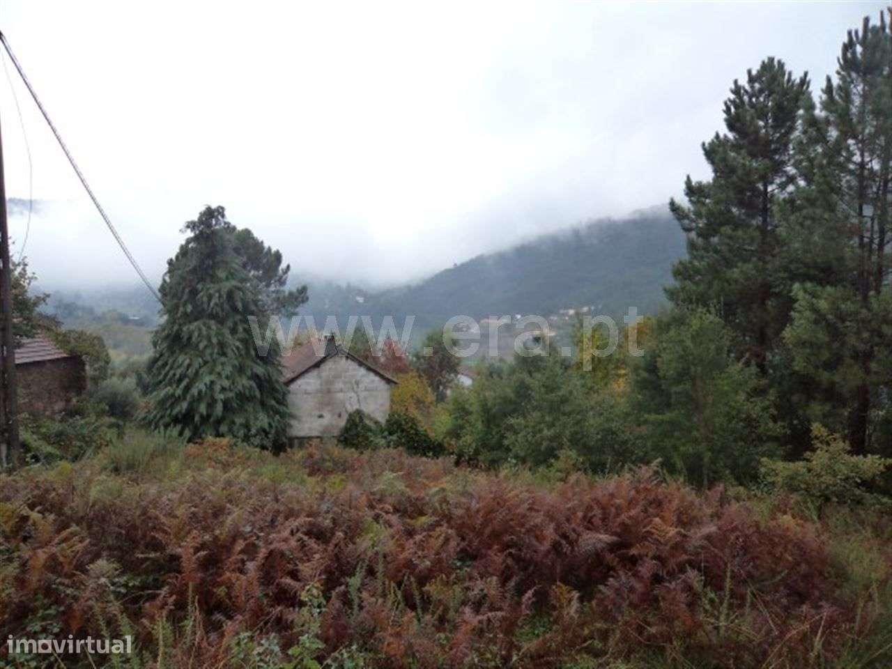 Terreno - Grande imagem: 2/8