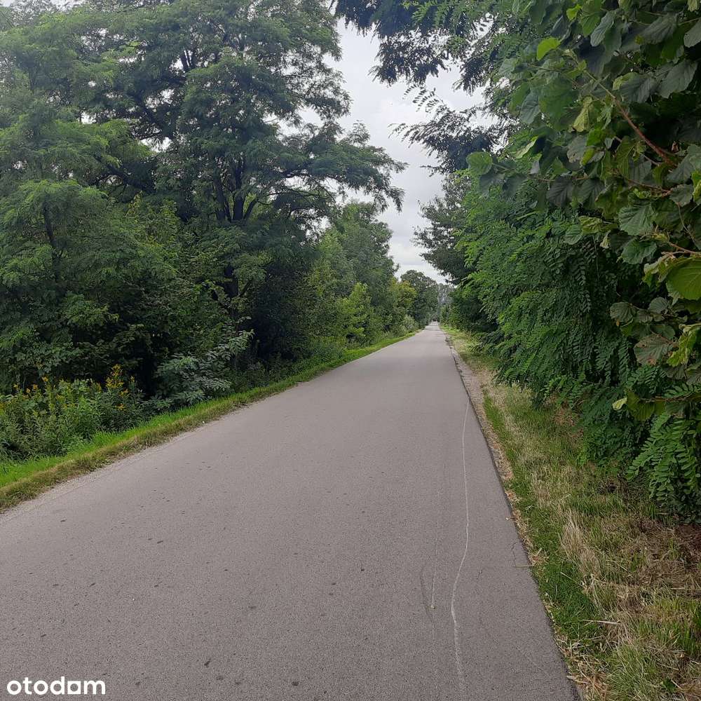 Działka budowlana Aleksandria, Puszcza Mariańska-10