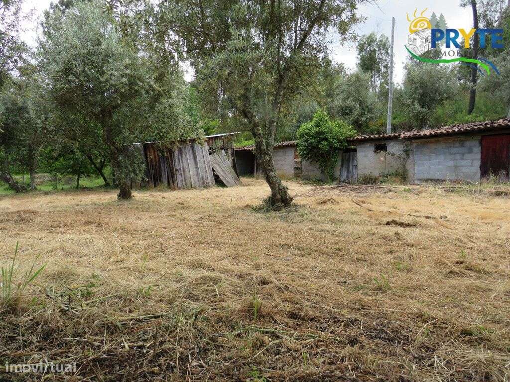 Pequena quinta a confinar com a Ribeira situada perto de Oleiros-27
