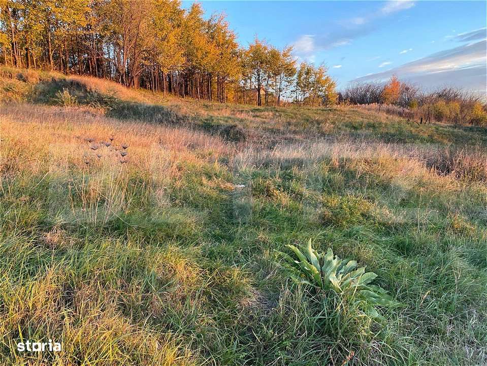 Teren Intravilan 1670 mp, in zona-Copou, Viticultori - Imagine principală: 2/2