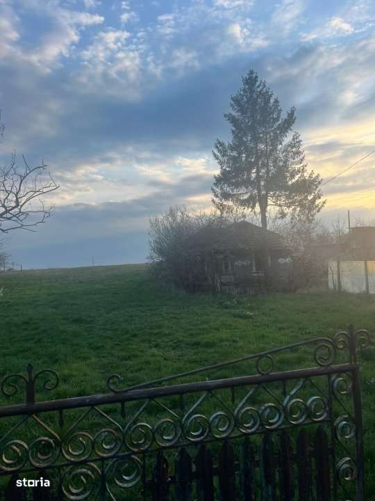 Teren intravilan Oarja, 5151 mp, toate utilitatile - Imagine principală: 3/3